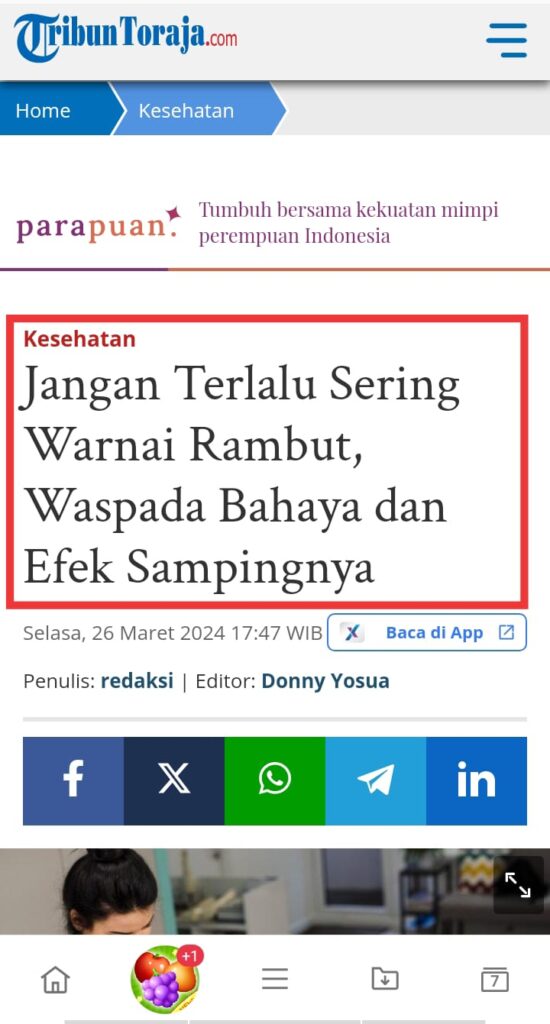 WhatsApp-Image-2024-04-20-at-09.43.25-1.jpeg